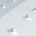capital budget planning roof