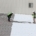 Academy Roofing crew installing a white single-ply membrane on a commercial roof