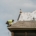 Academy Roofing crew member installing new shingles over fresh underlayment in Acworth, GA
